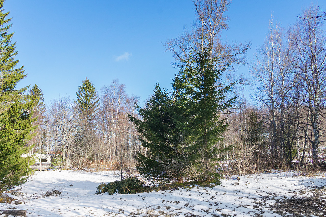 Håkansta 157 – bild 5