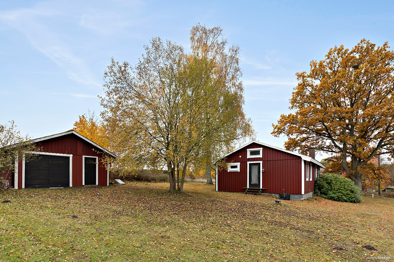 Fjärlöv 1377