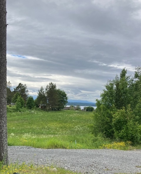 Säljarens bilder