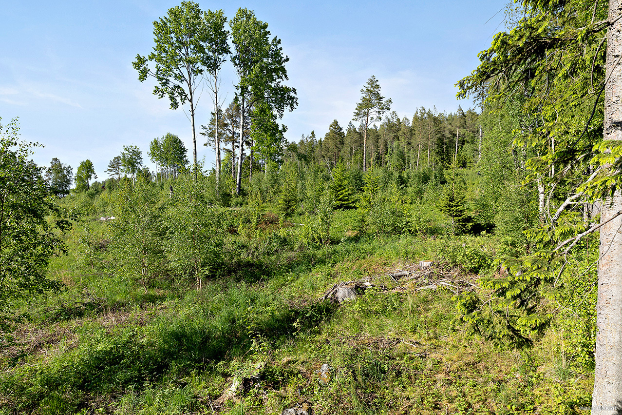 Sunne-Gärde 2:53 – bild 3