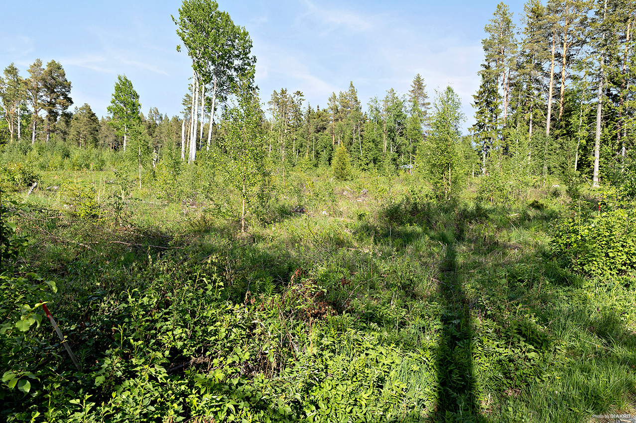 Sunne-Gärde 2:53 – bild 5