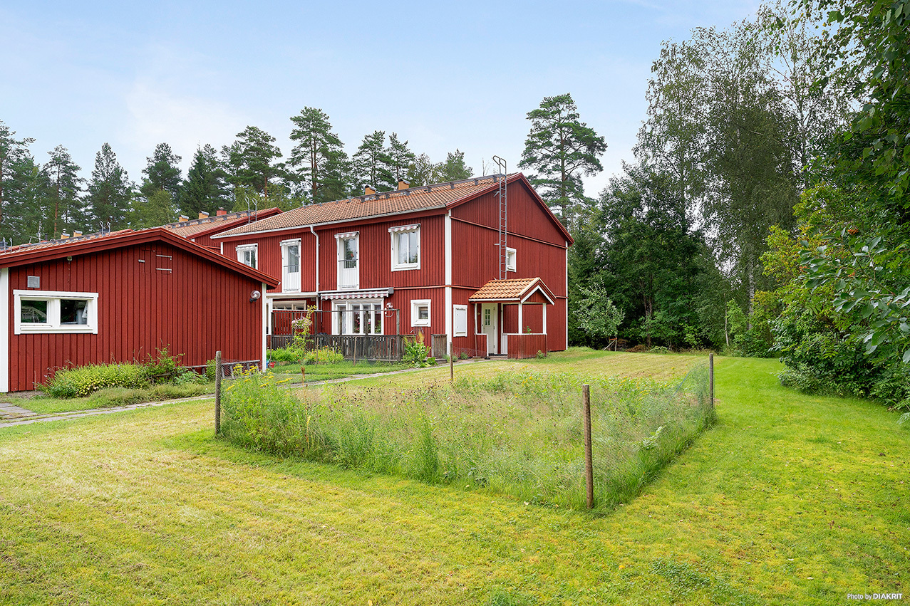 Hemskogen 6