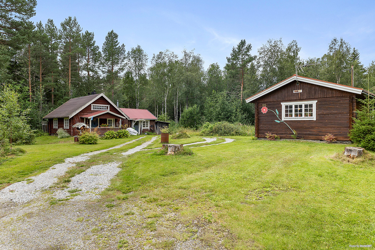 Galhammar 125 – bild 3