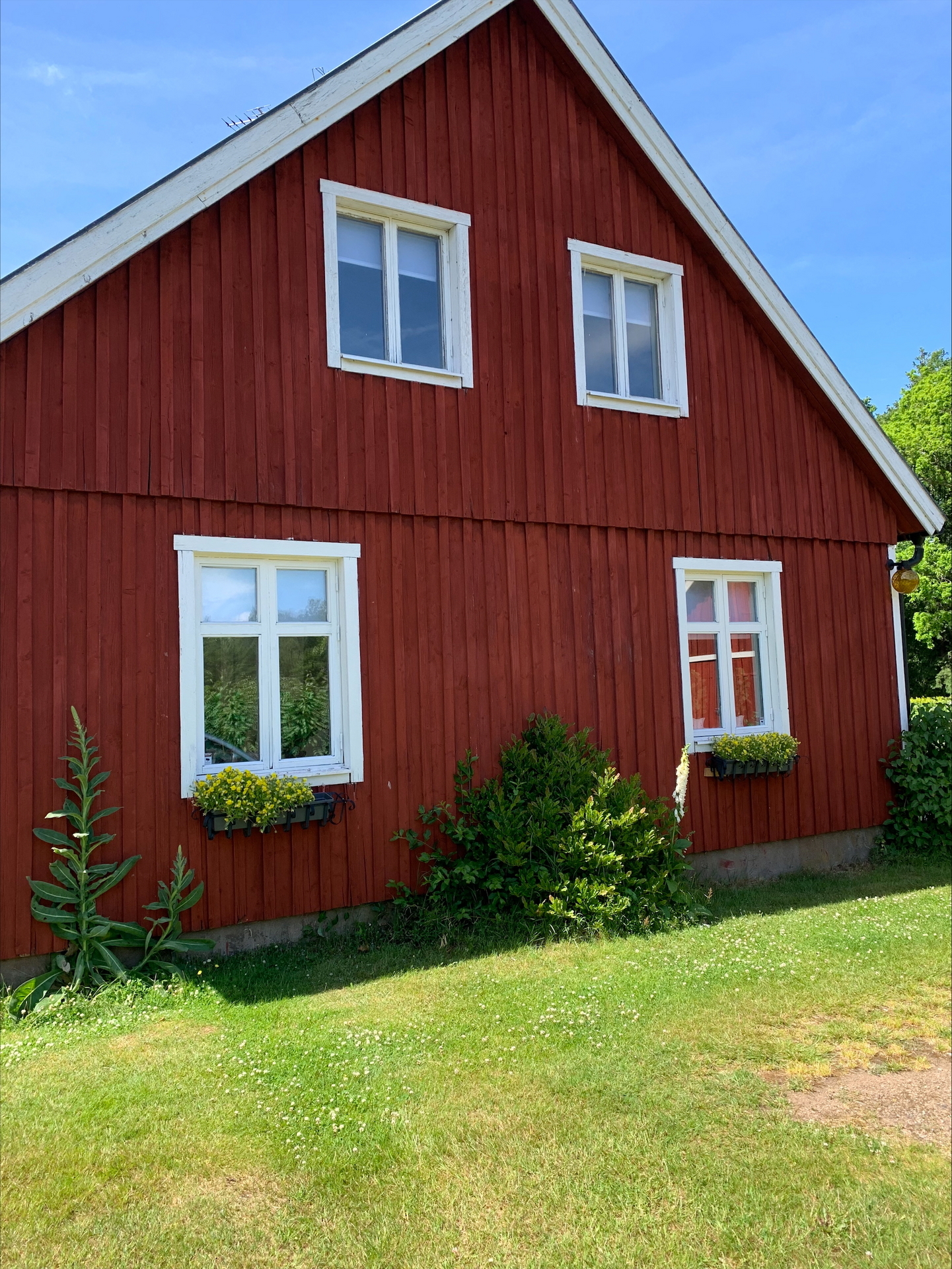 Vägasked 109 – bild 4