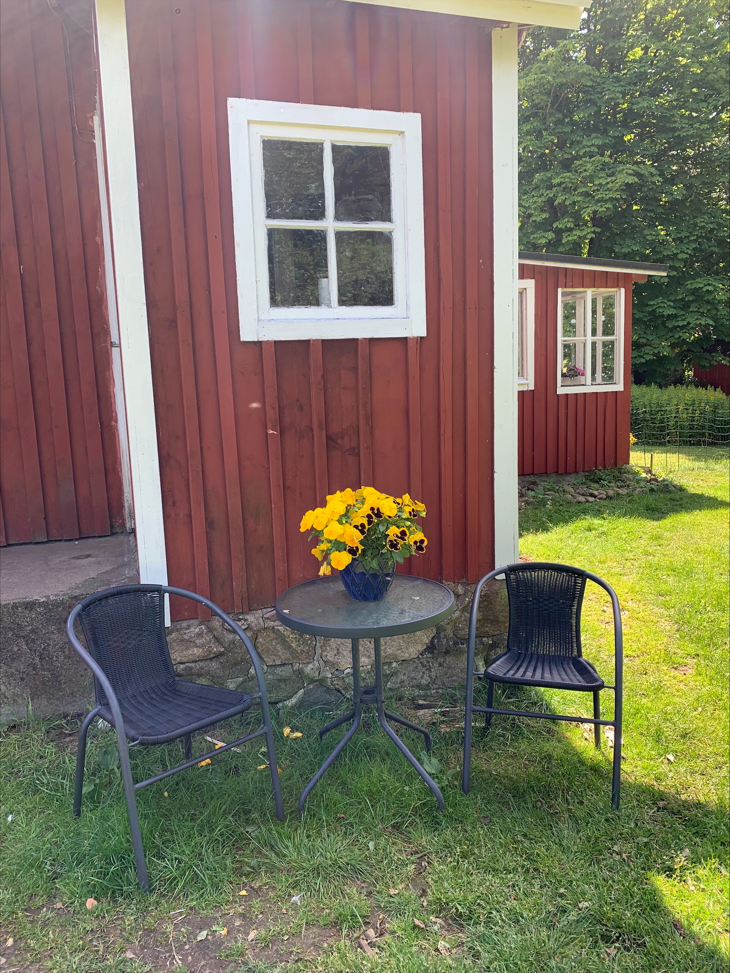 Vägasked 109 – bild 6