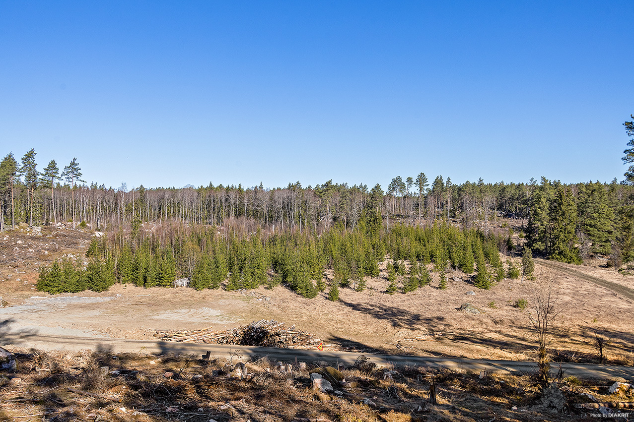 Ekbolanda 1:21 – bild 6