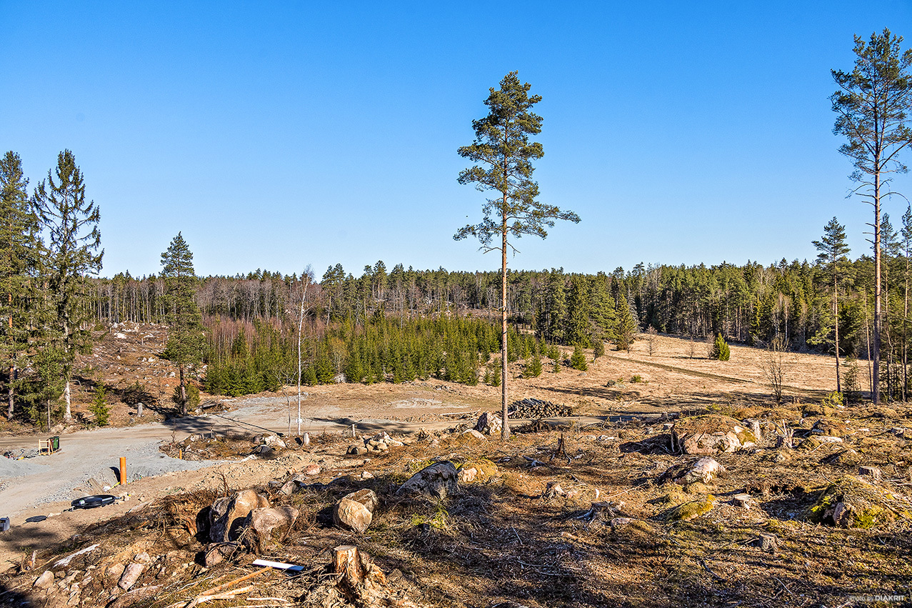 Ekbolanda 1:21 – bild 8