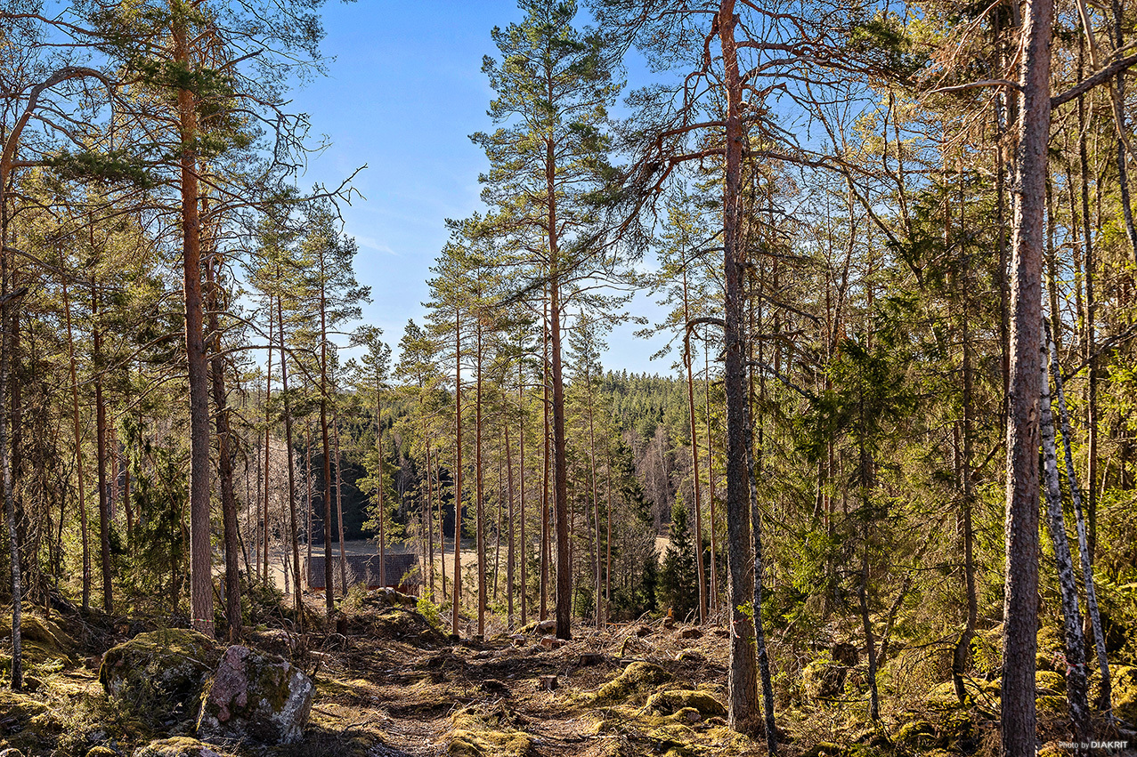 Ekbolanda 1:21 – bild 7