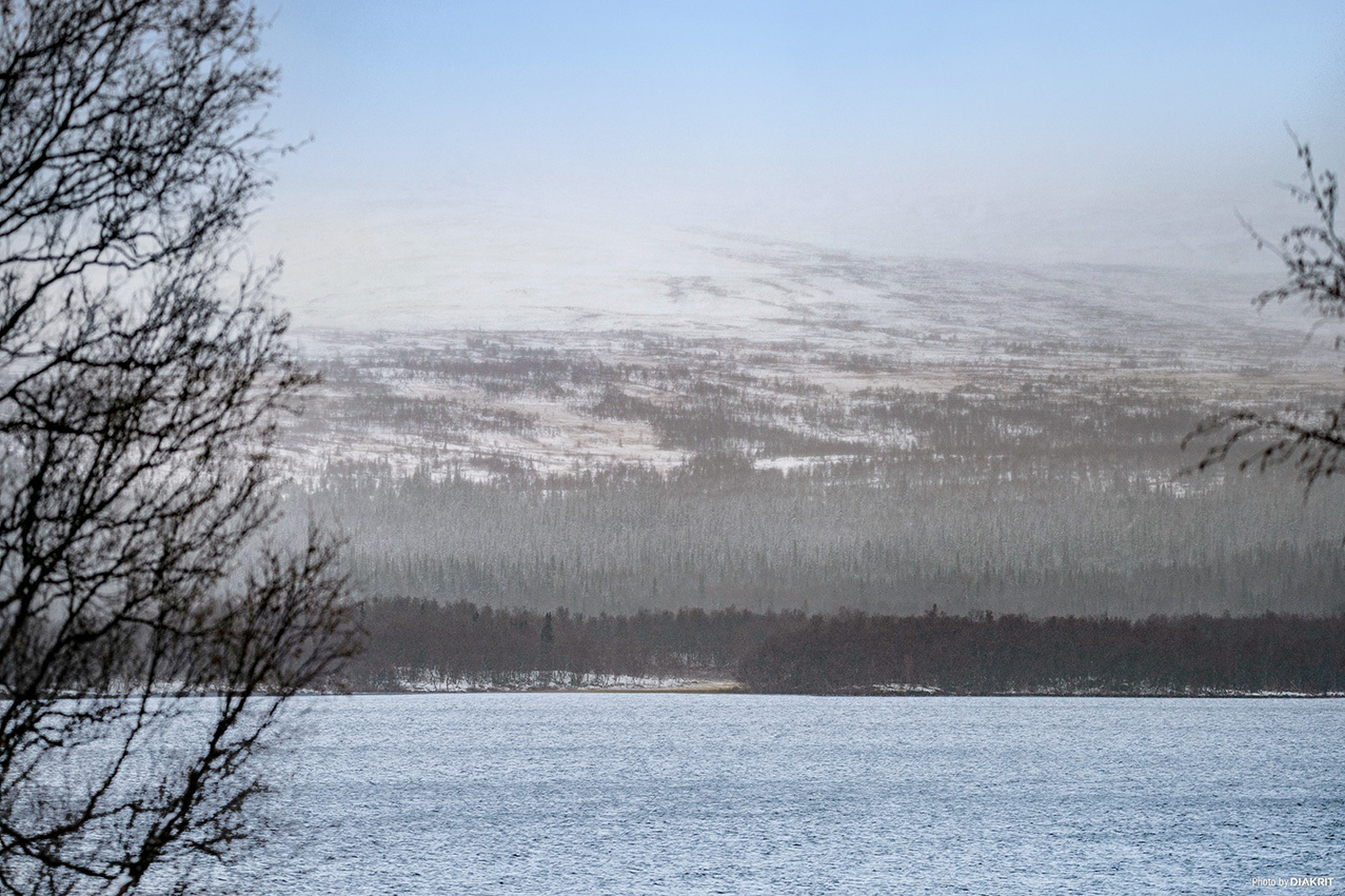 Storvall 33 – bild 3