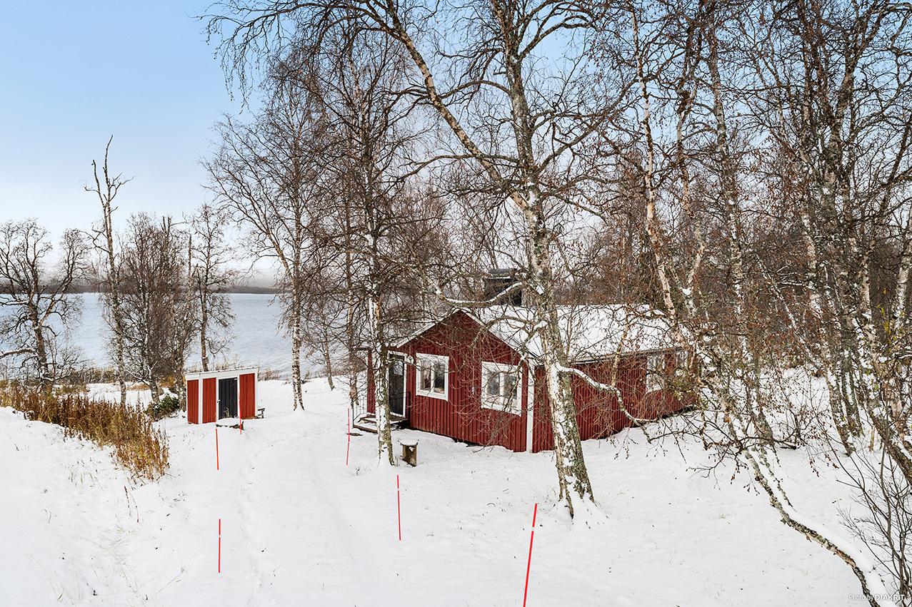 Storvall 33