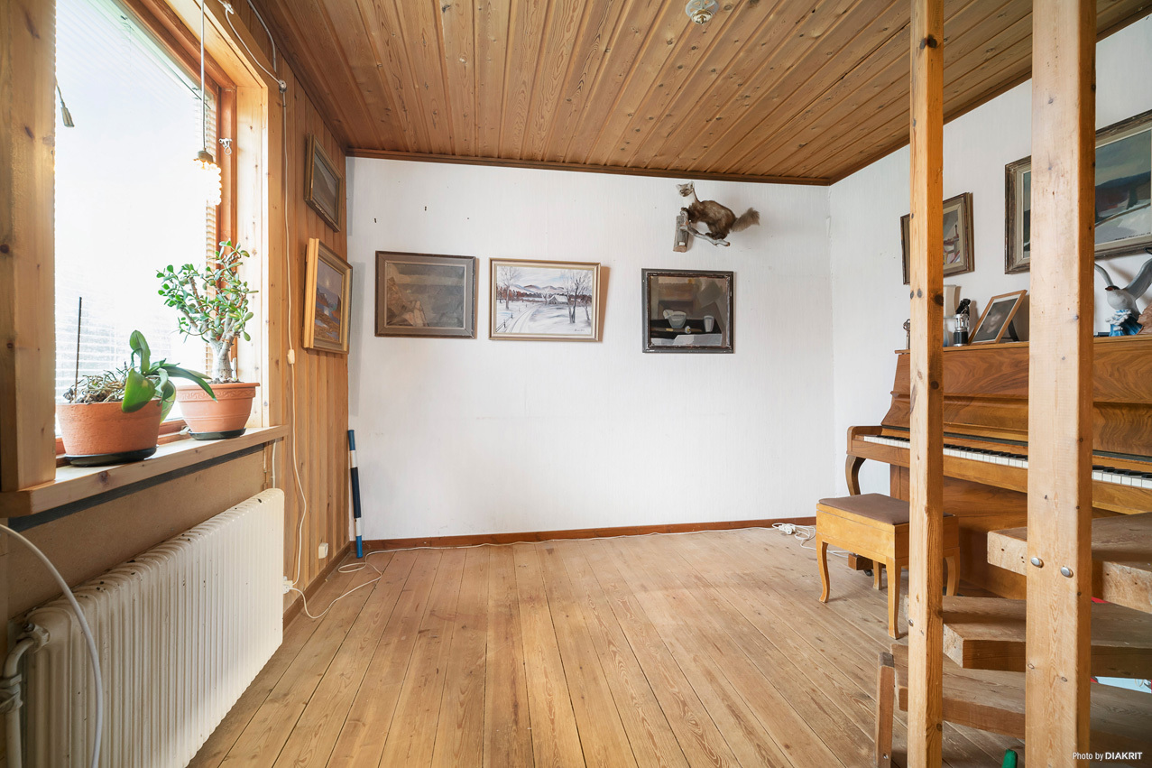 Finskudden 100 – bild 3
