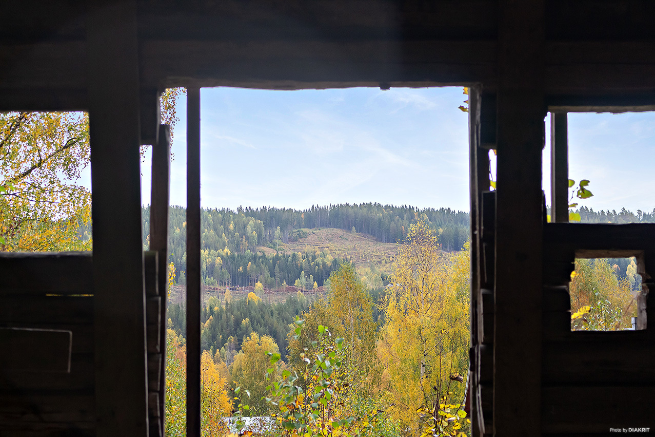 BRANÄS 1:154 – bild 4