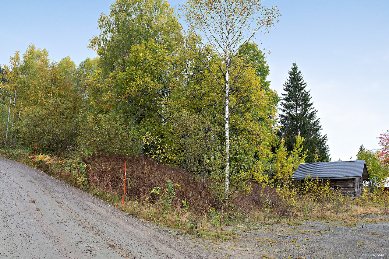 BRANÄS 1:154 – bild 7