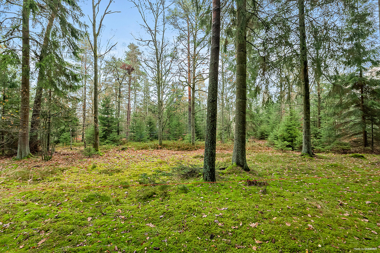 Rotevägen 4 – bild 7
