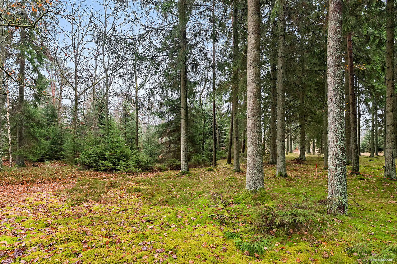 Rotevägen 4 – bild 6