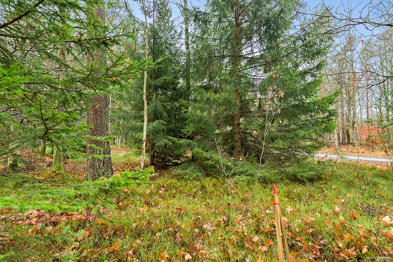 Rotevägen 4 – bild 3