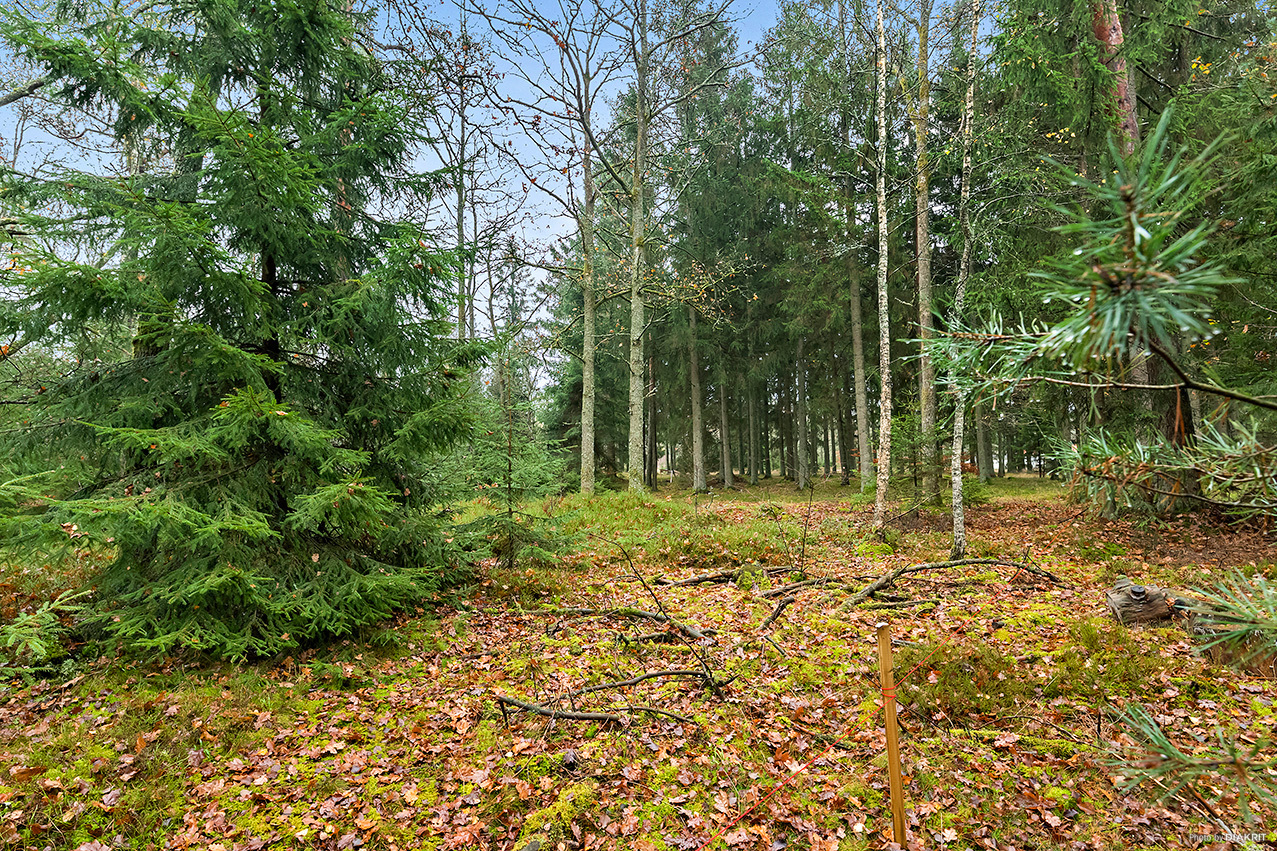 Rotevägen 4 – bild 4
