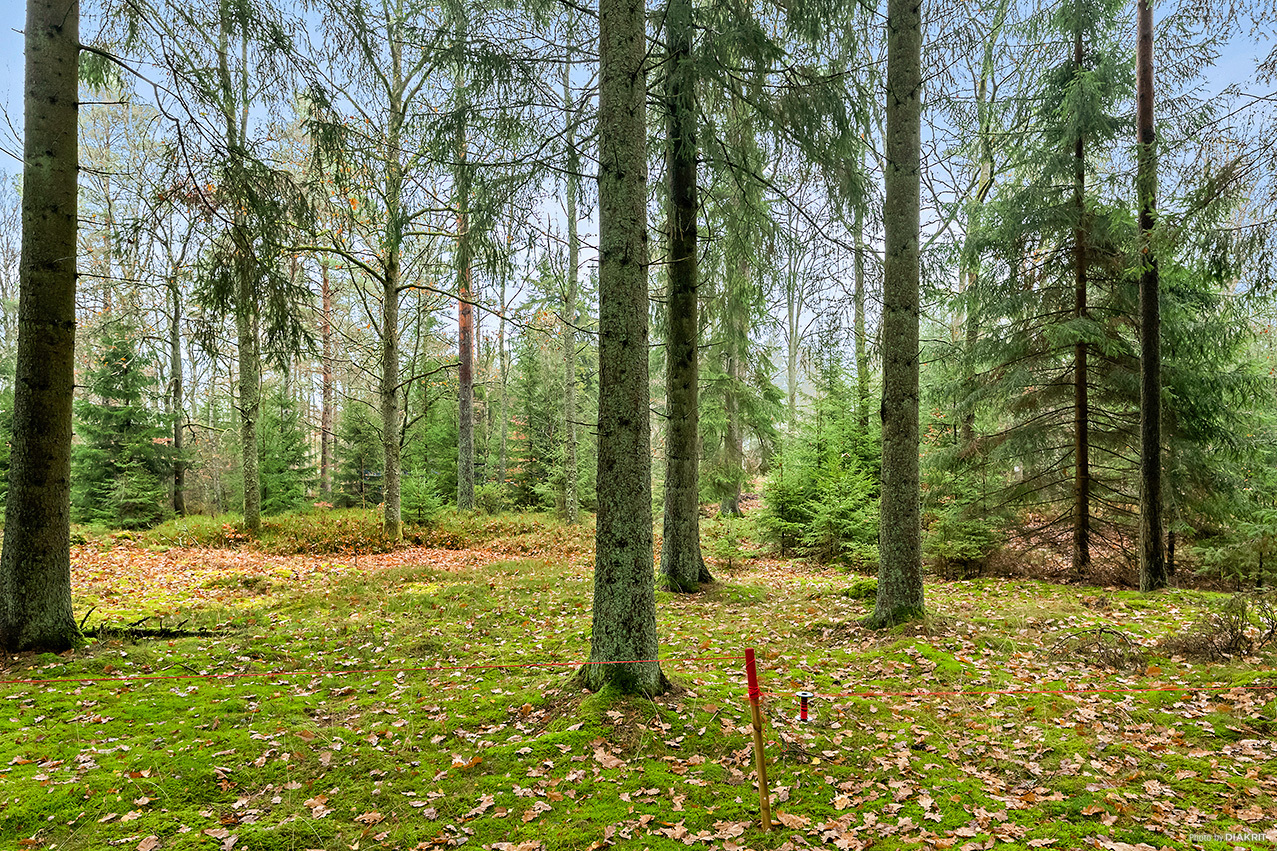 Rotevägen 4 – bild 8
