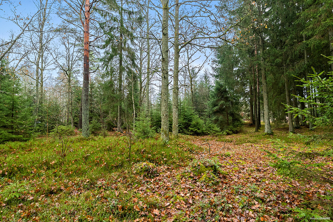 Rotevägen 4 – bild 5