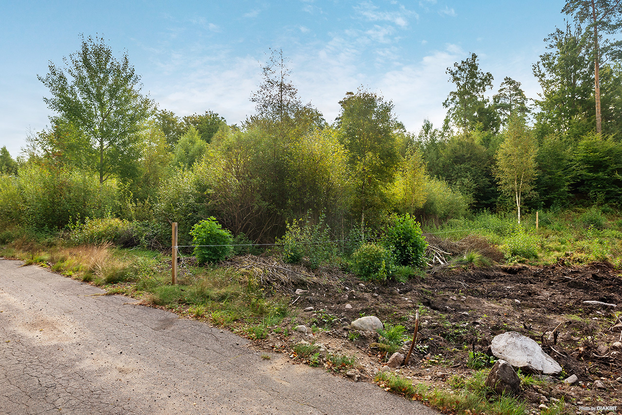 Salviavägen 17 – bild 6