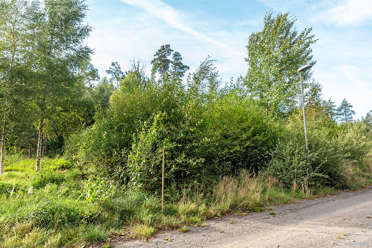 Salviavägen 17 – bild 5