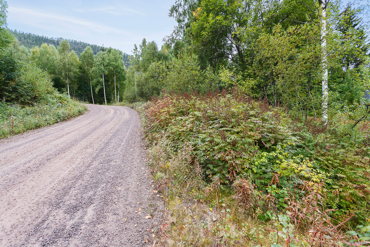 BRANÄS 1:153 – bild 6