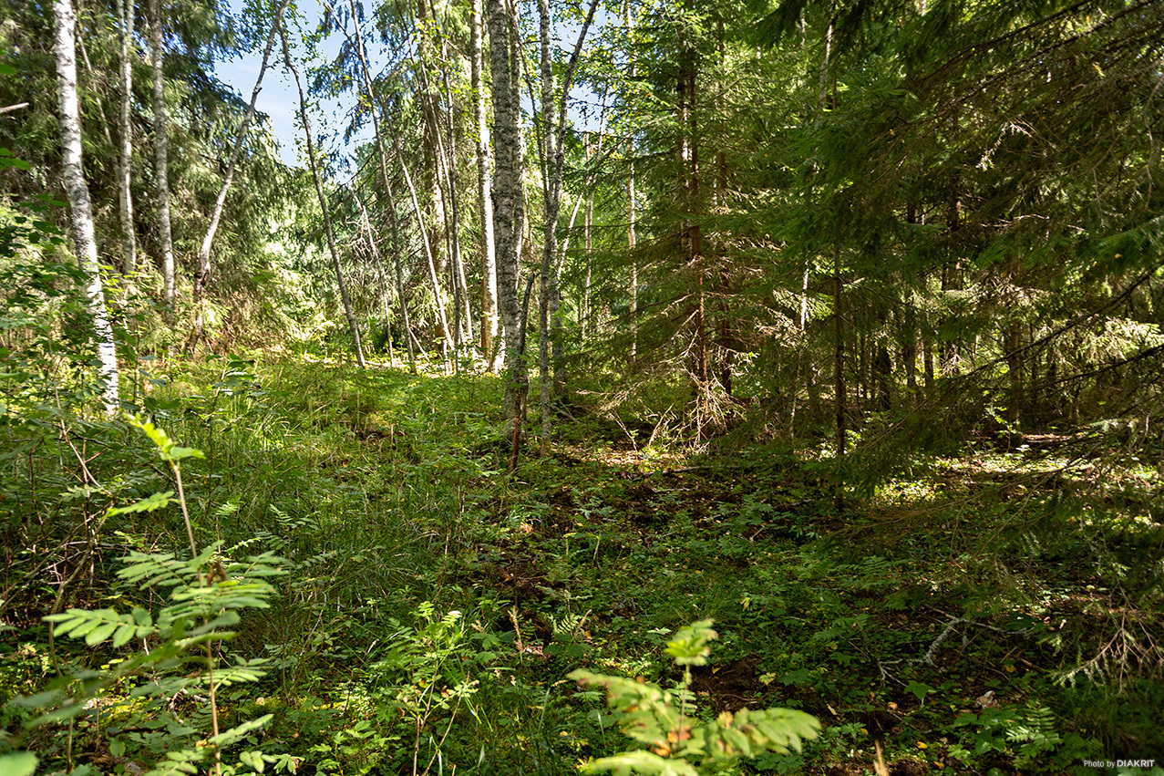 Mosselbodarna 91 – bild 3