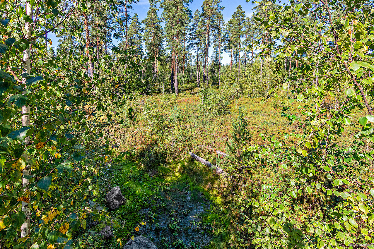 Vitmåravägen 12 – bild 3