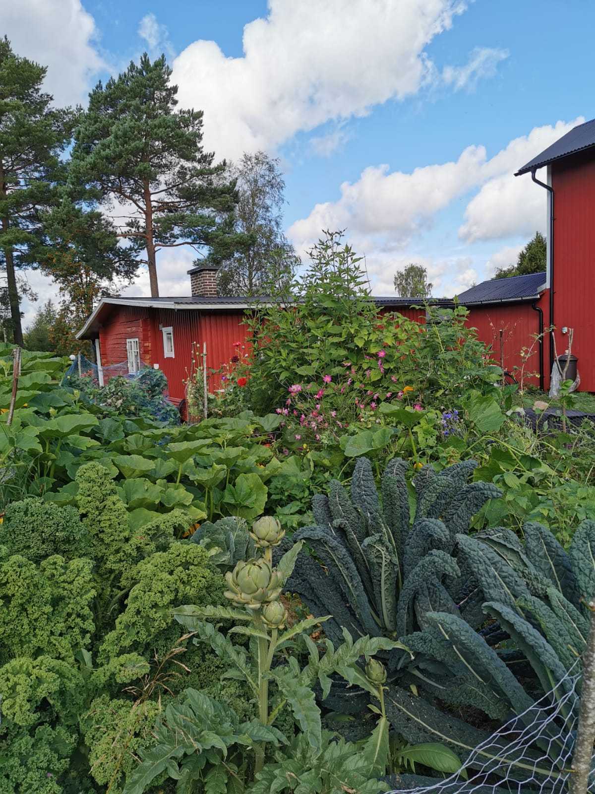 Lisjöberg 58 – bild 4