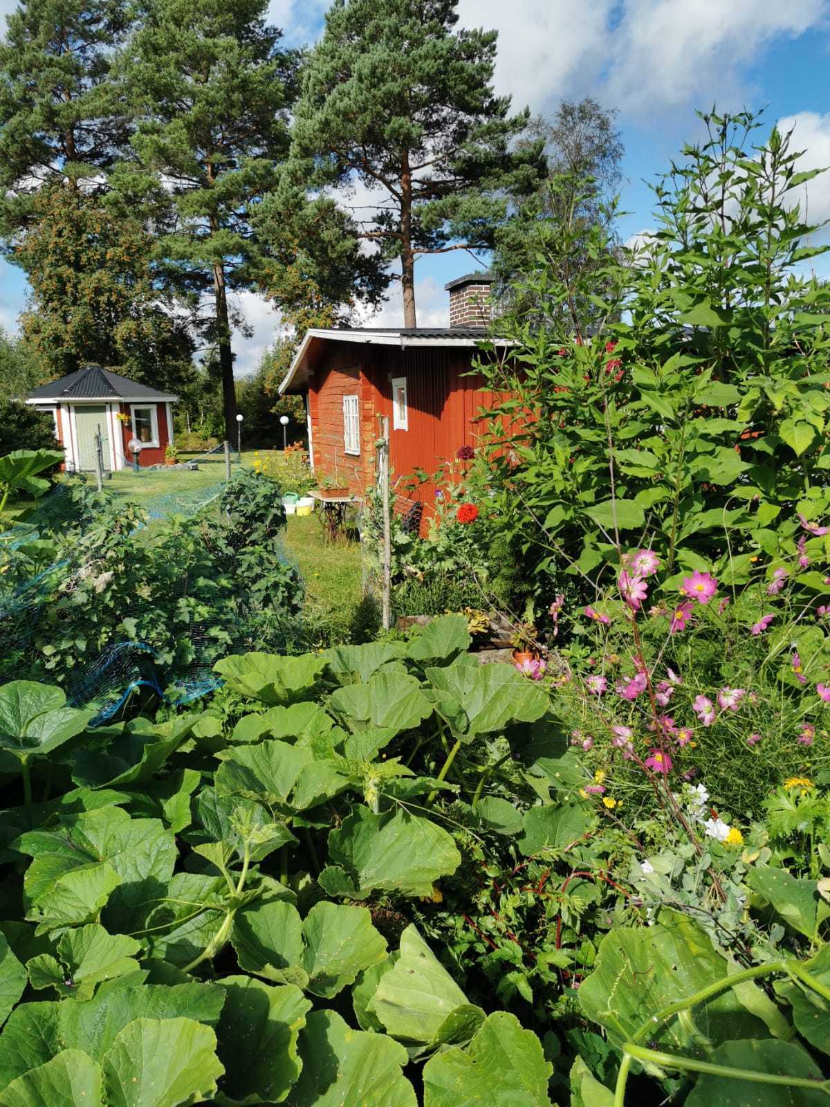 Lisjöberg 58 – bild 5