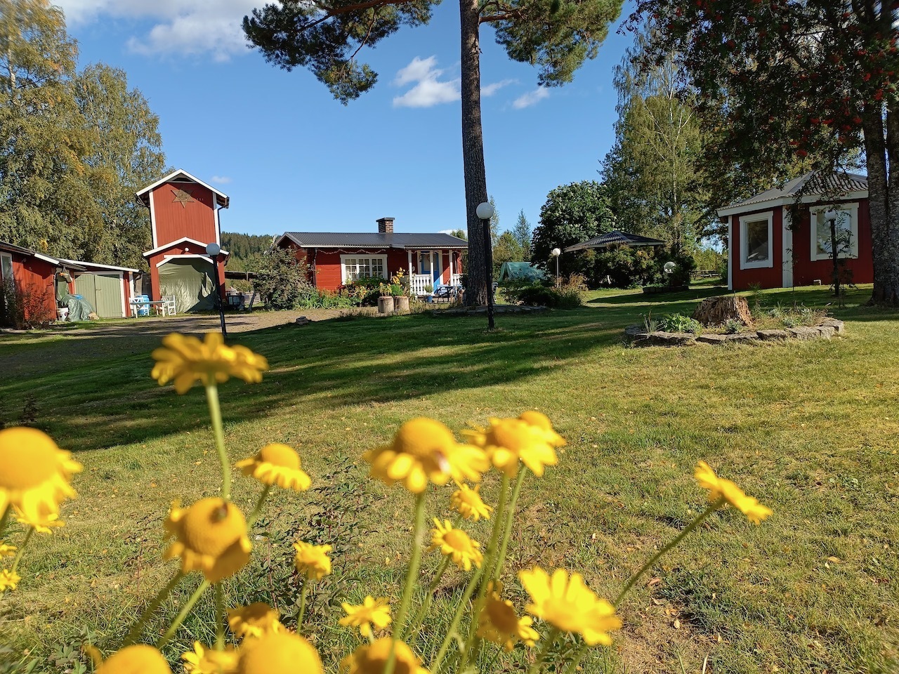 Lisjöberg 58 – bild 8