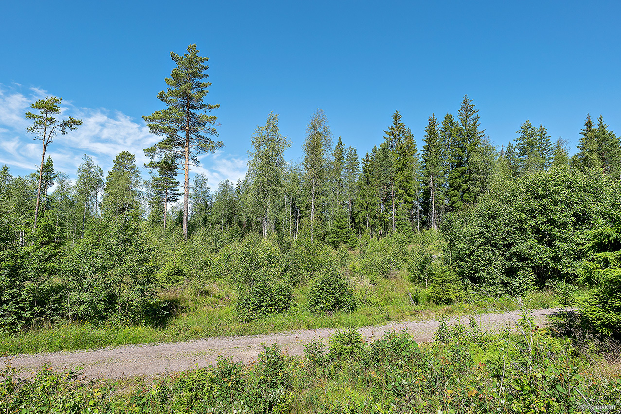 VÄNNACKA 1:62 & 1:63 – bild 4