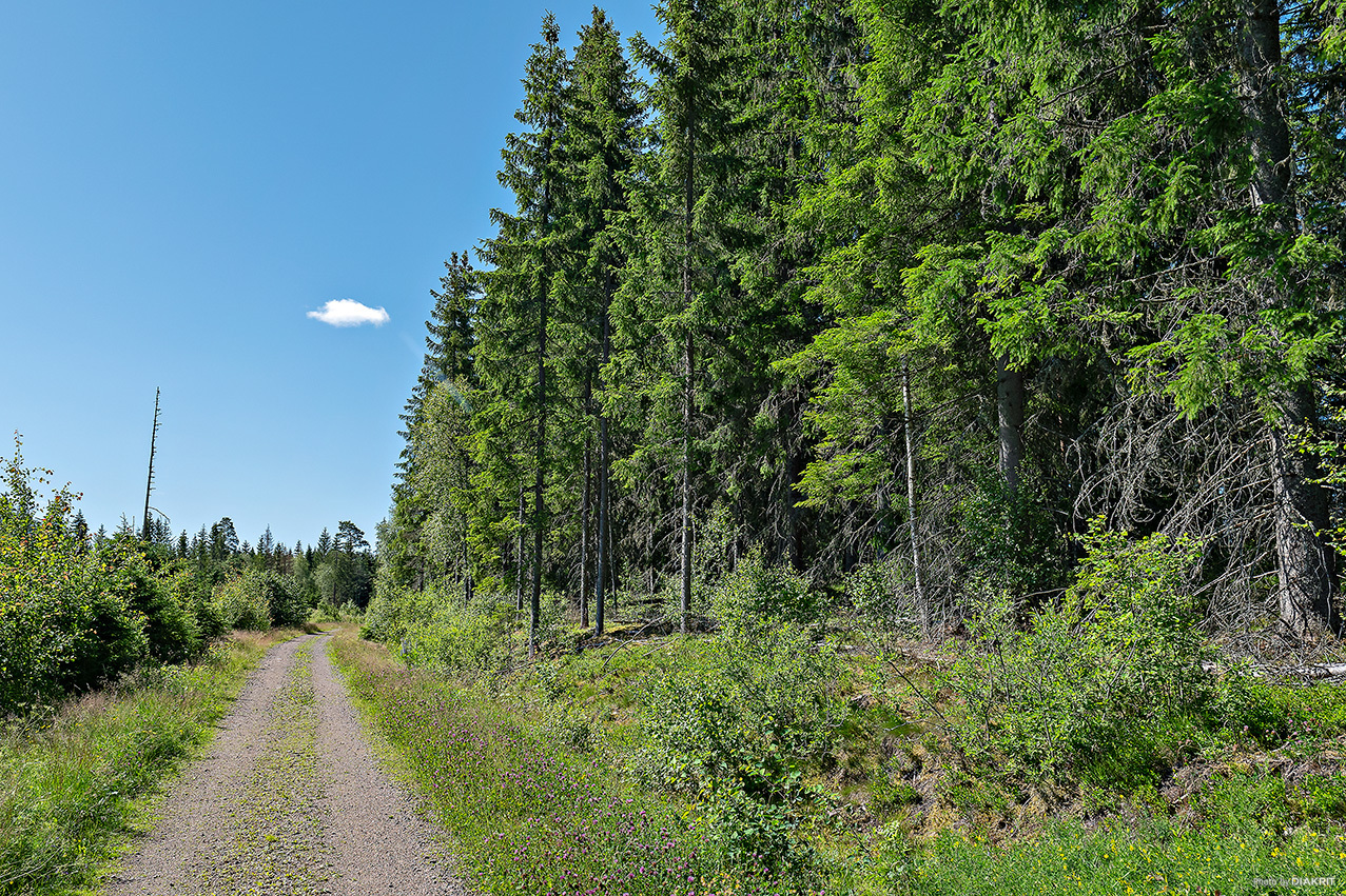VÄNNACKA 1:62 & 1:63 – bild 8