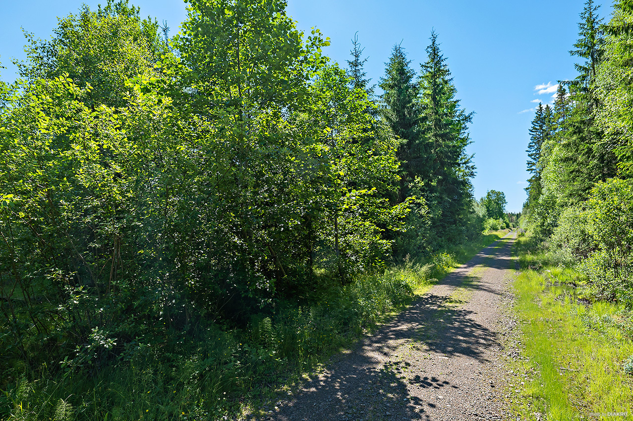 VÄNNACKA 1:62 & 1:63 – bild 6