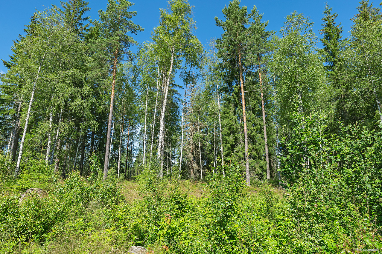 VÄNNACKA 1:62 & 1:63 – bild 7
