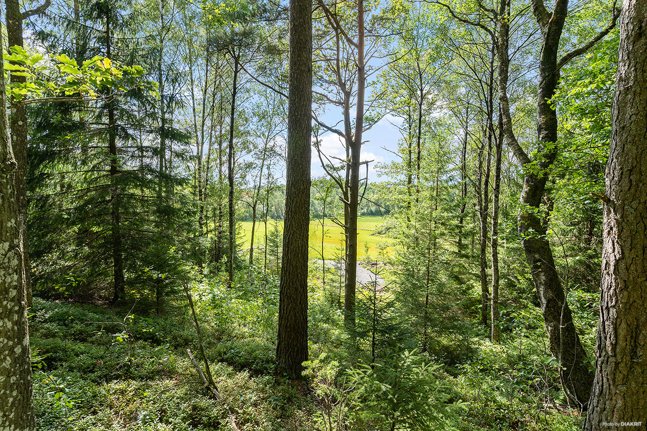 Rydskärrsvägen 21 – bild 5
