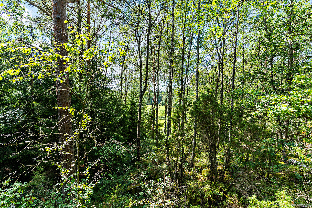 Rydskärrsvägen 21 – bild 6