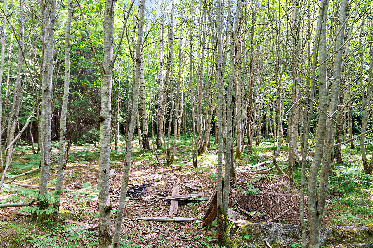 KILEN 10:11 – bild 7