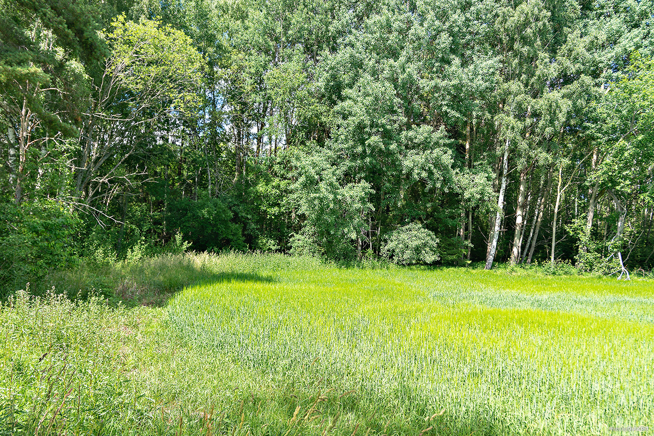 KILEN 10:11 – bild 3
