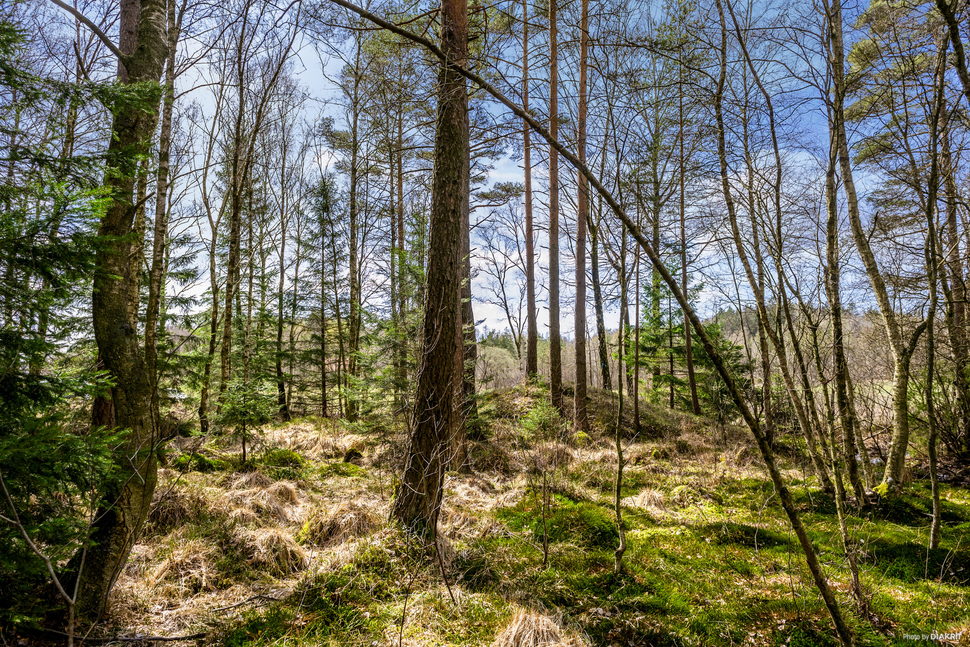 Rydskärrsvägen 23