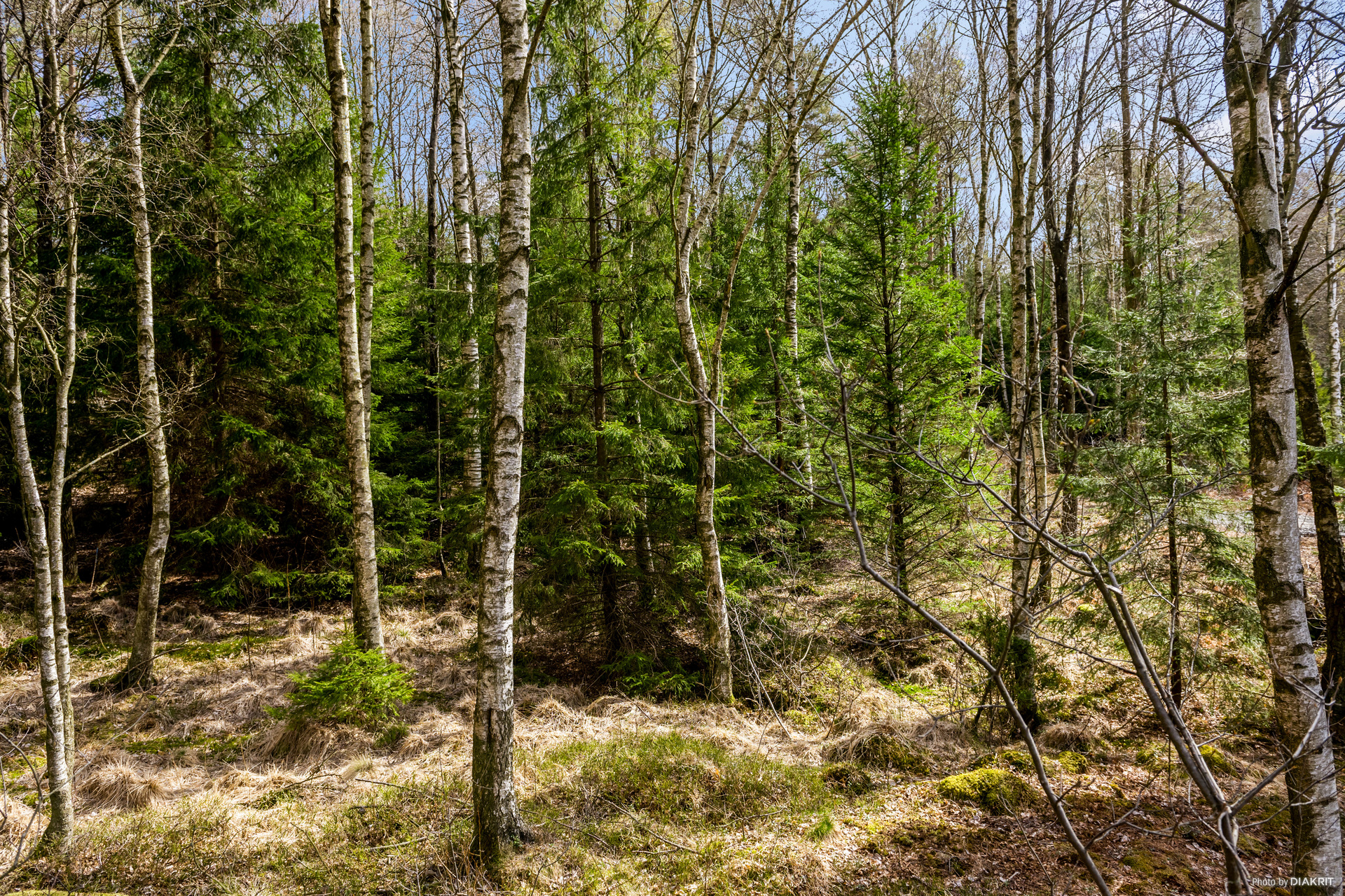Rydskärrsvägen 23 – bild 8