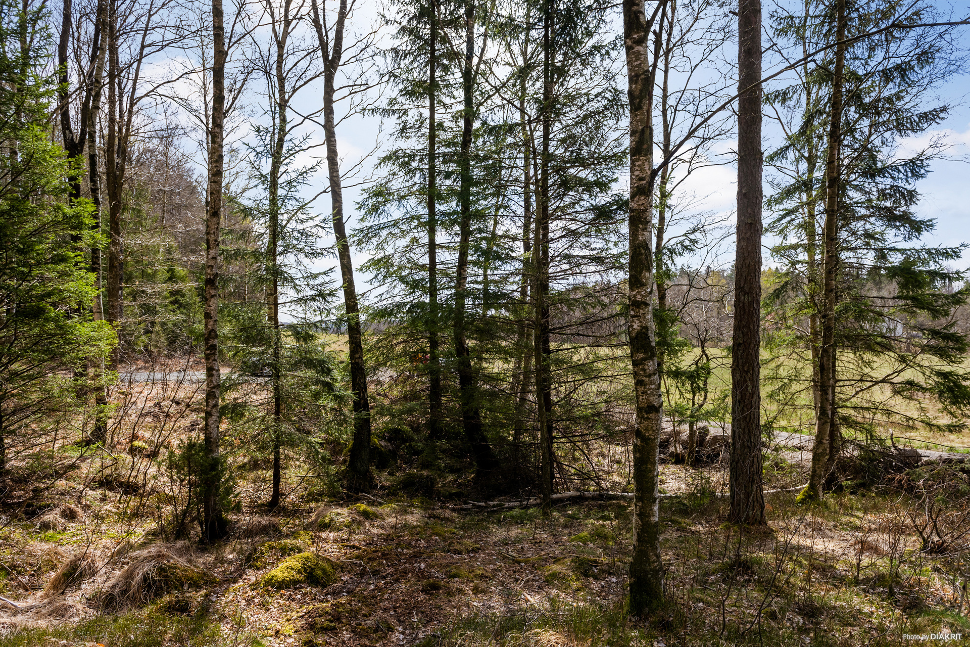 Rydskärrsvägen 23 – bild 7