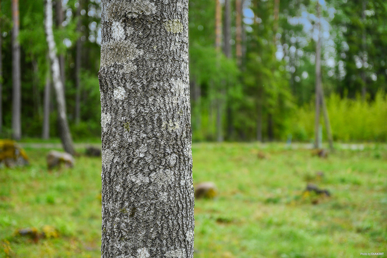 Hagabergsvägen 4 – bild 5