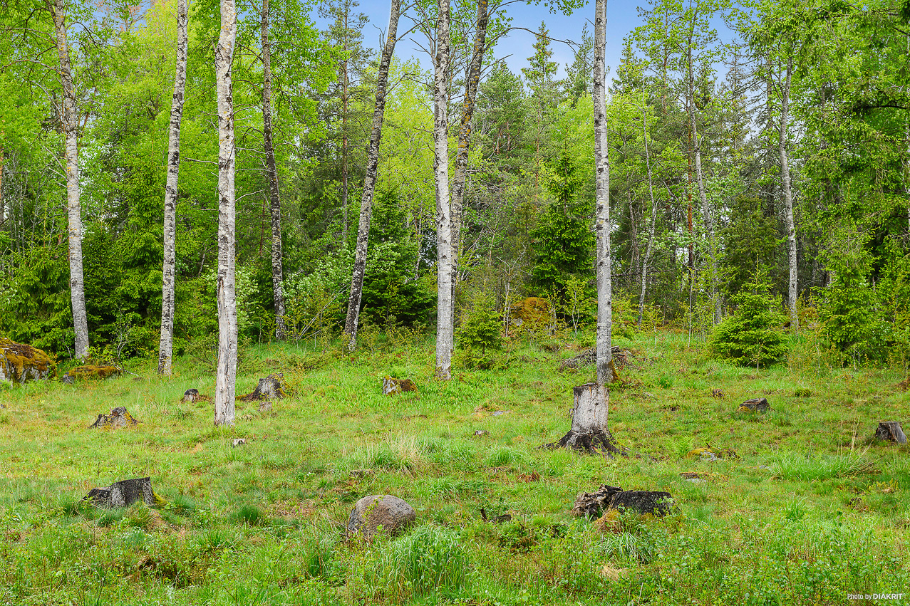 Hagabergsvägen 4 – bild 8