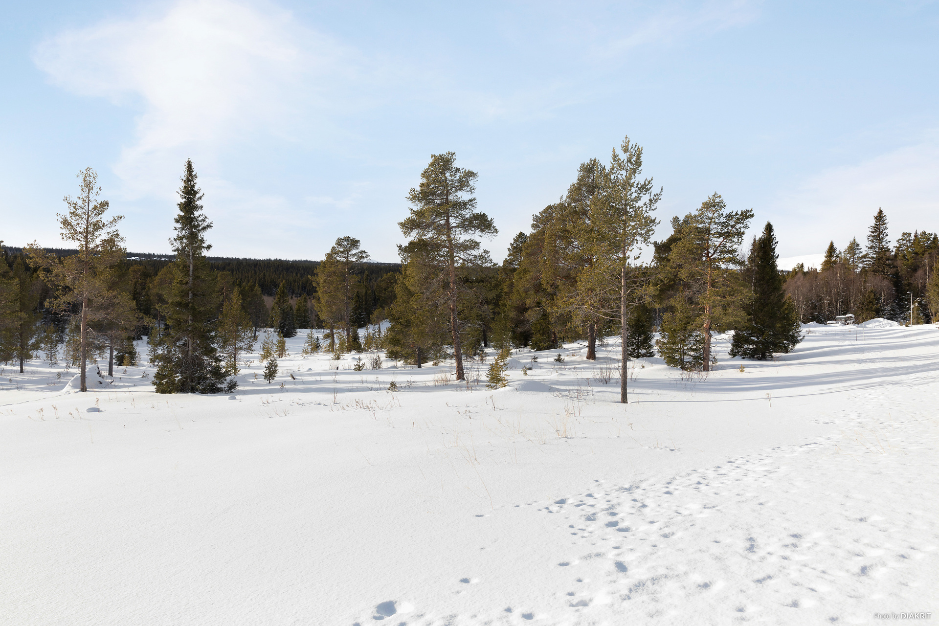 Orrmötesvägen 12 – bild 5