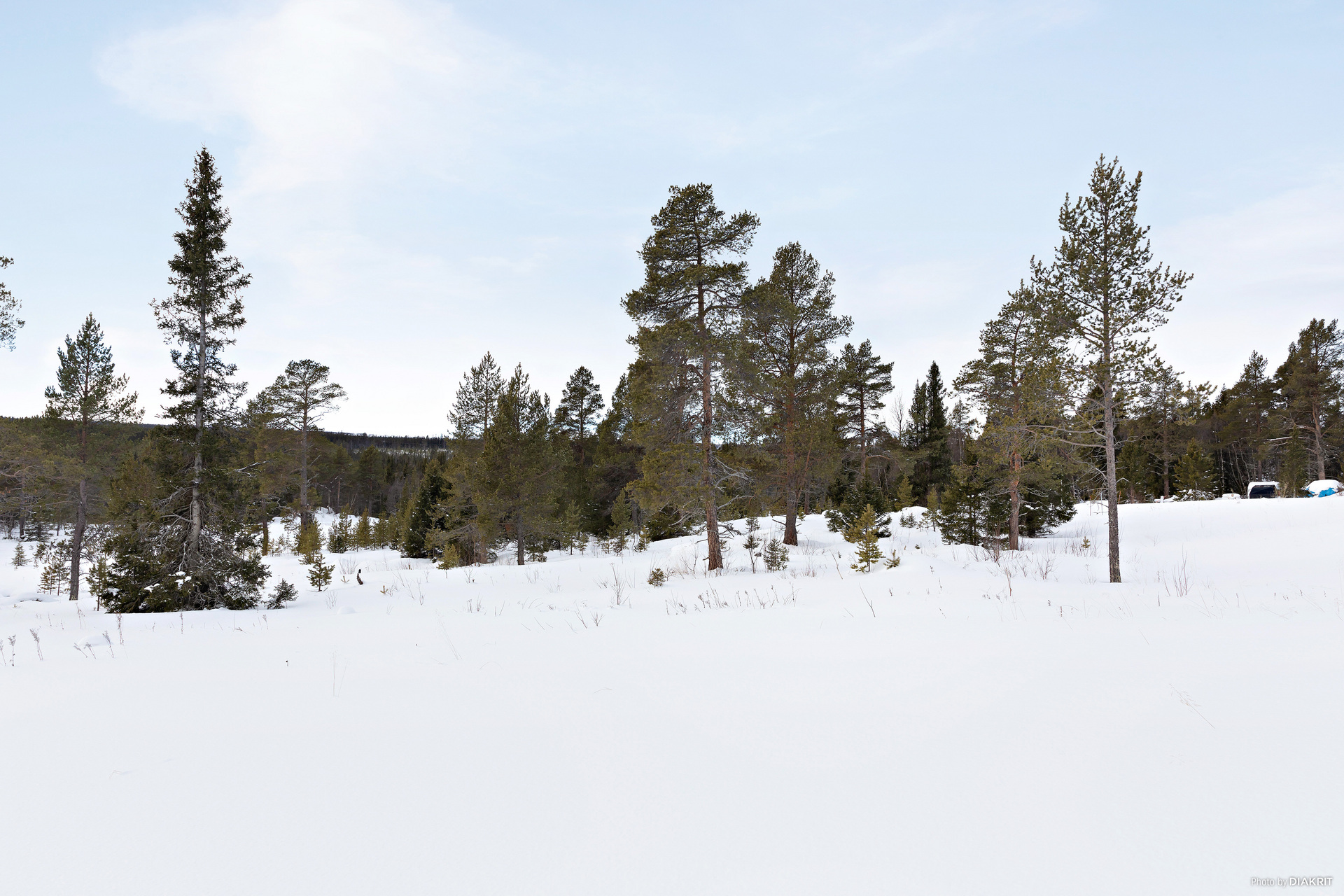 Orrmötesvägen 12 – bild 3