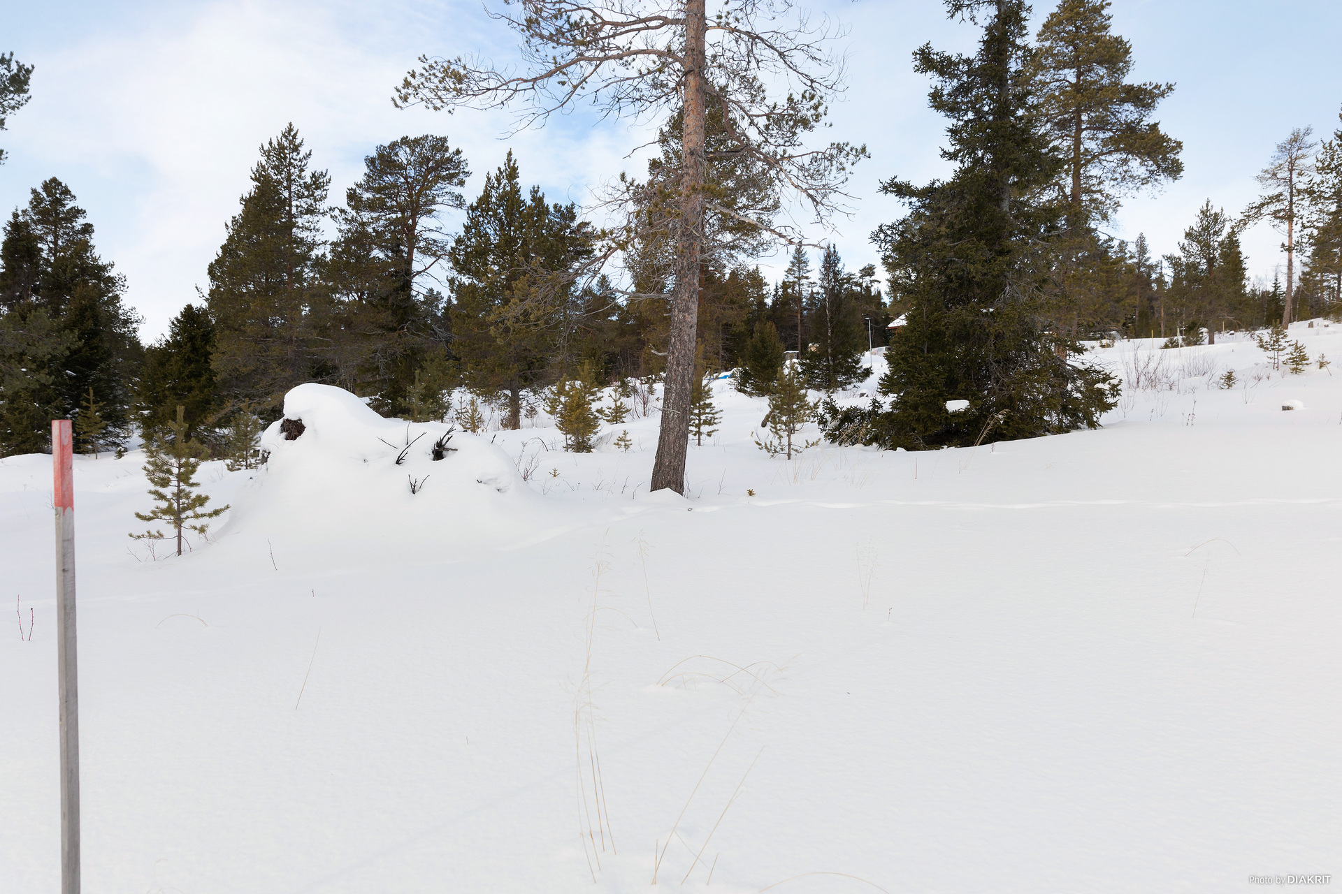 Orrmötesvägen 12 – bild 6