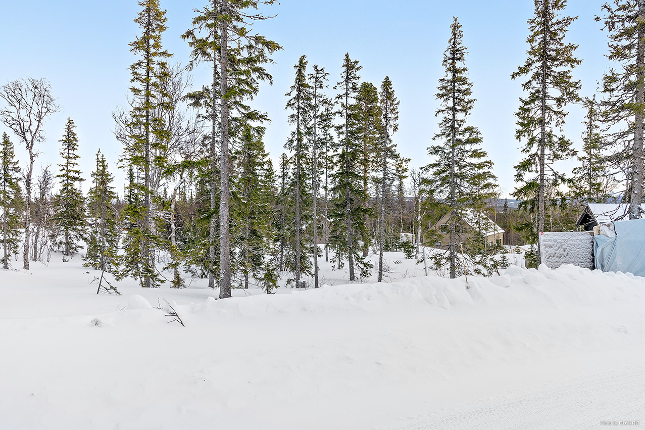 Trillevallen – bild 4