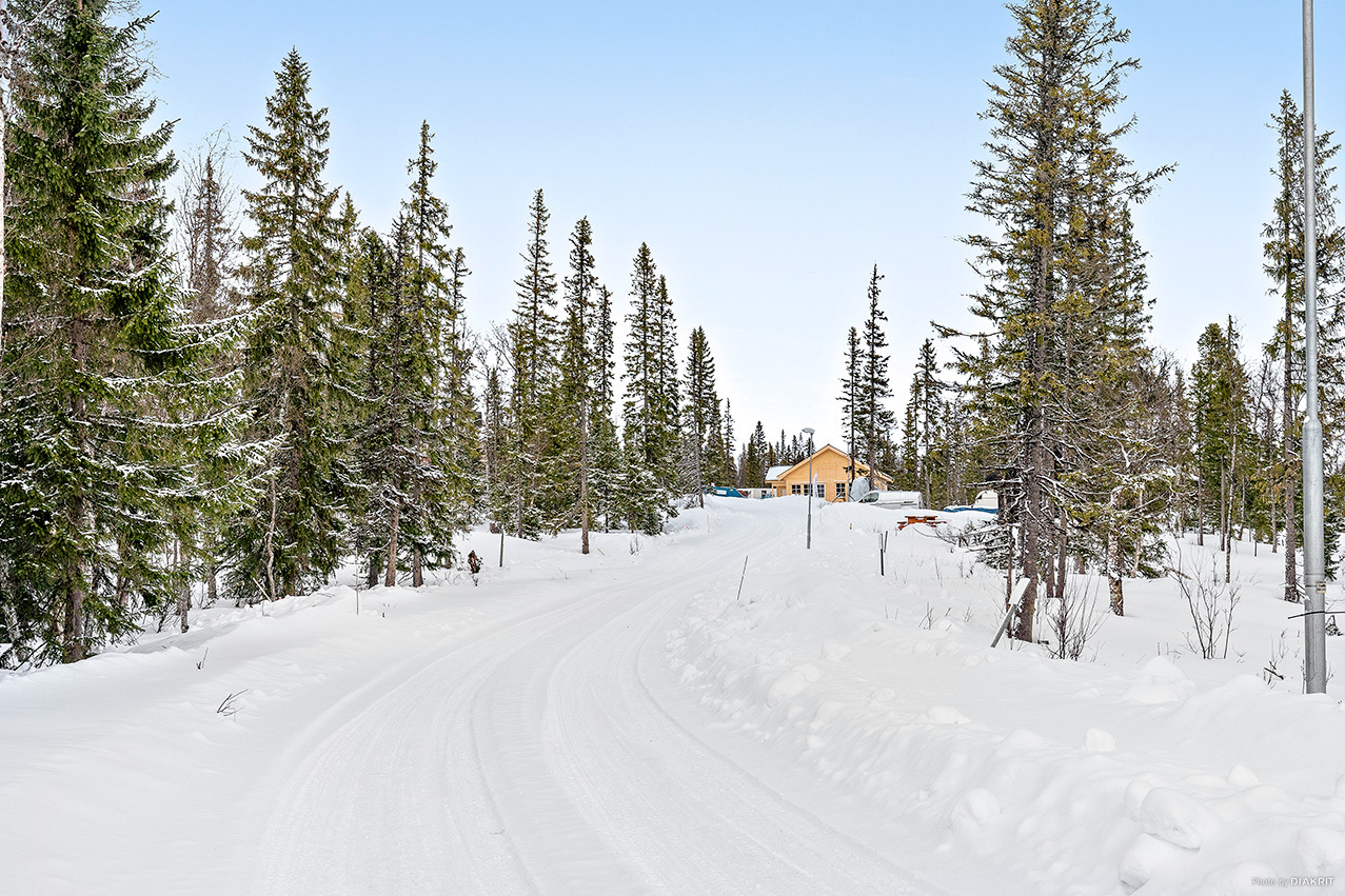 Trillevallen – bild 7