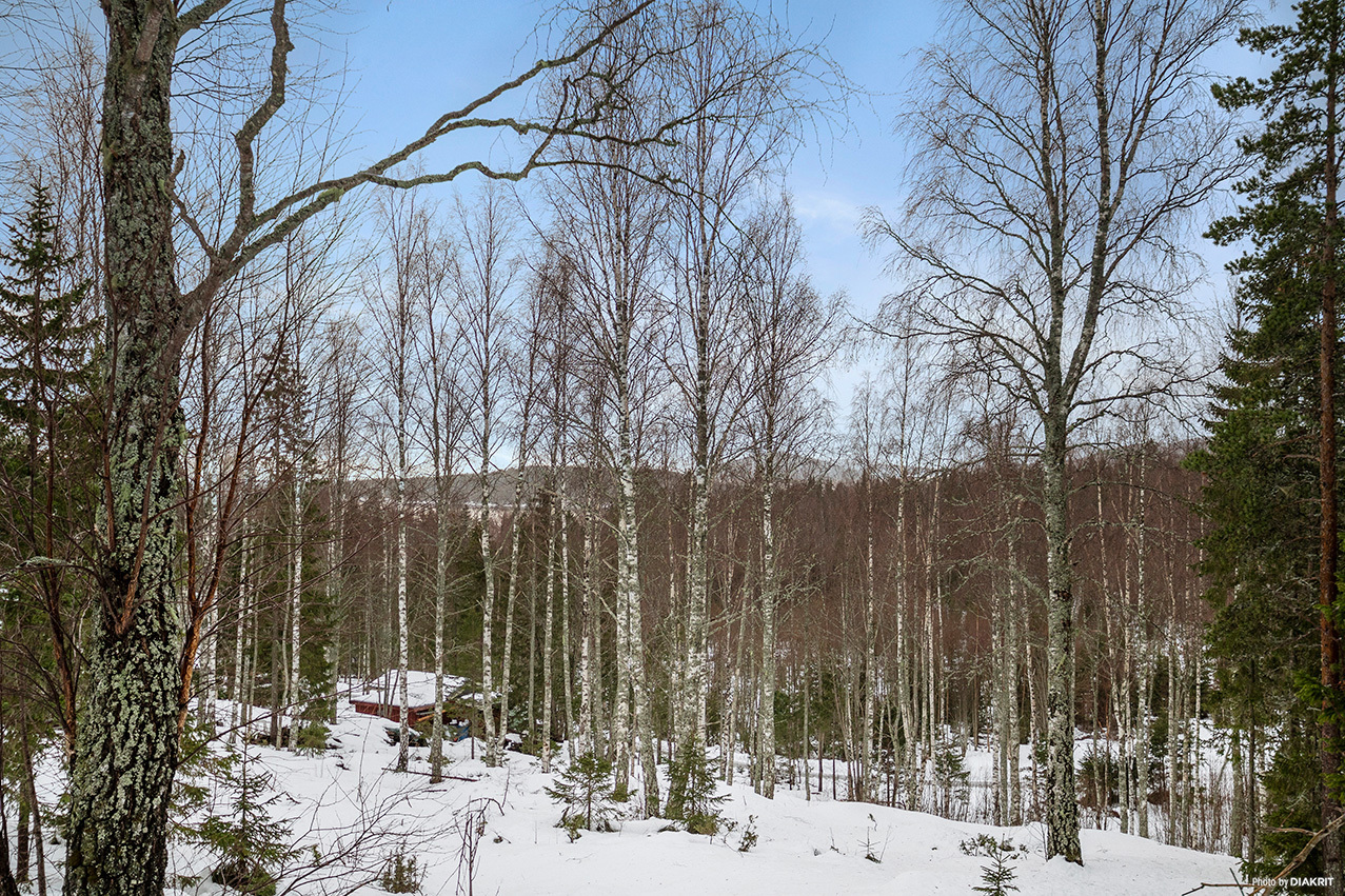 ÅDAL 9:37 – bild 8